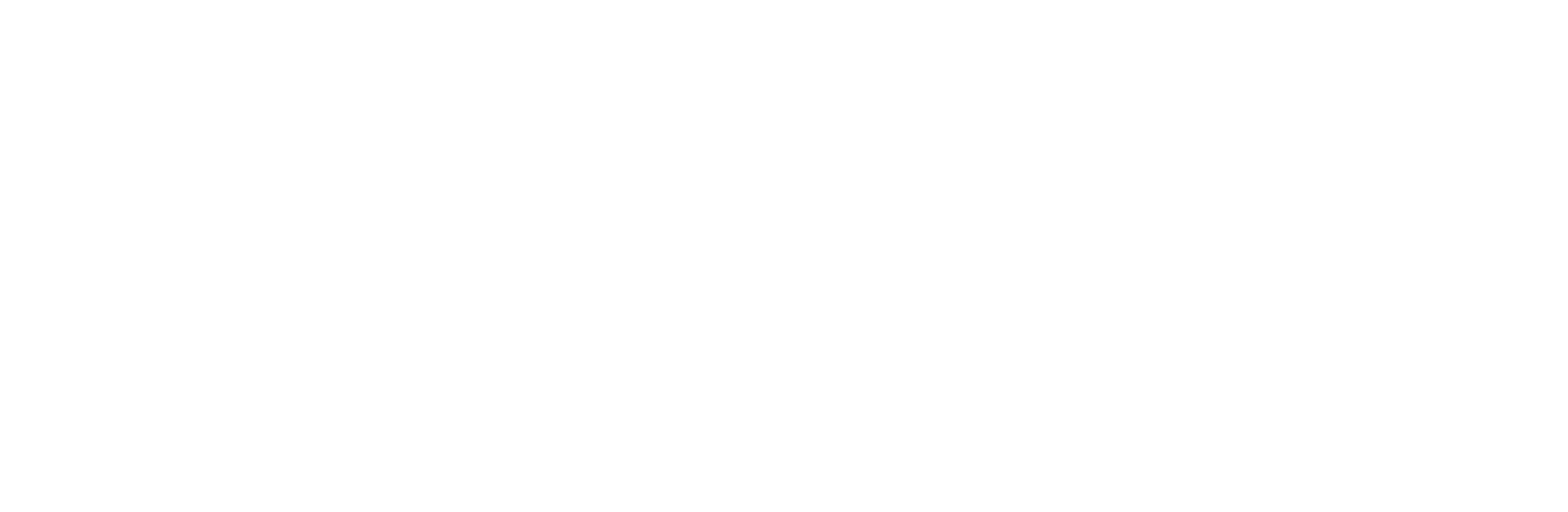 D. C. Steinle Inc.